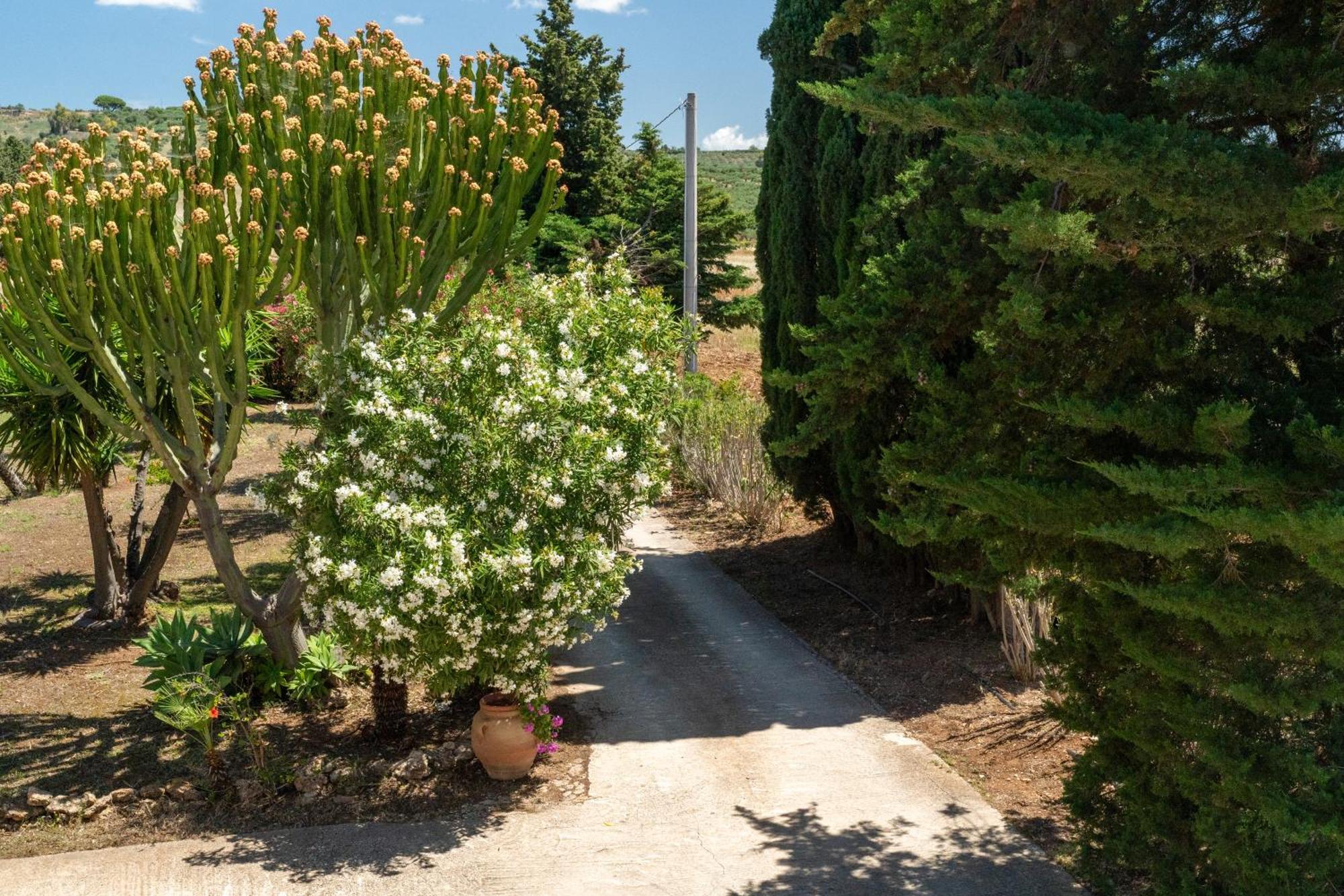 Casa Vacanze Verdemare Con Piscina Ribera Bagian luar foto