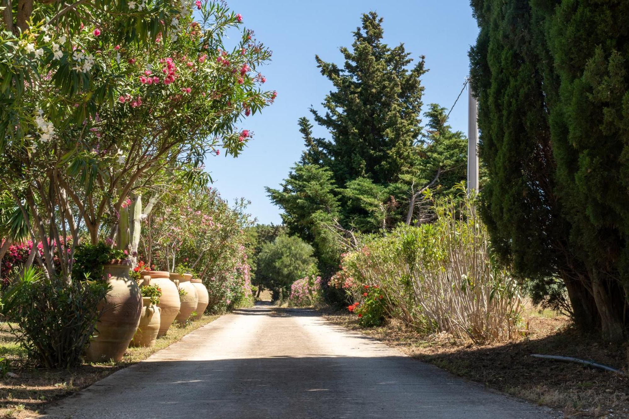Casa Vacanze Verdemare Con Piscina Ribera Bagian luar foto